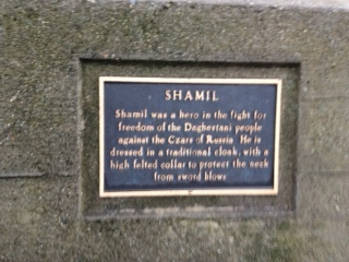 Shamil Plaque