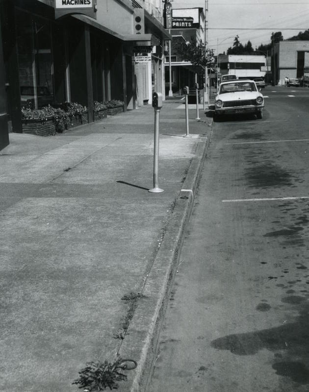 Chehalis horse rings 1963