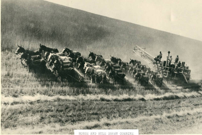 Farming Practices of Settlers