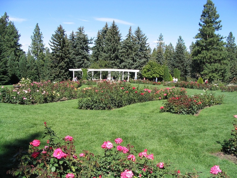 Rose Hill