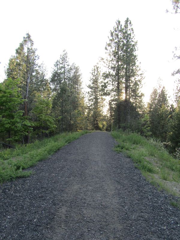 Ben Burr Trail at Underhill