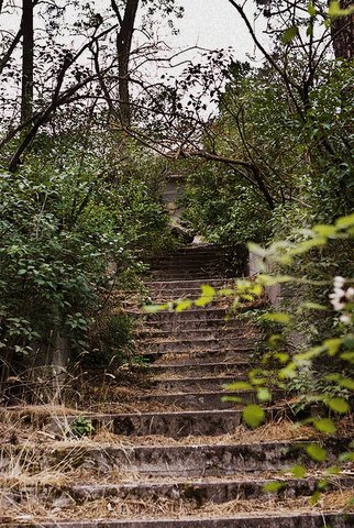 Thousand Steps
