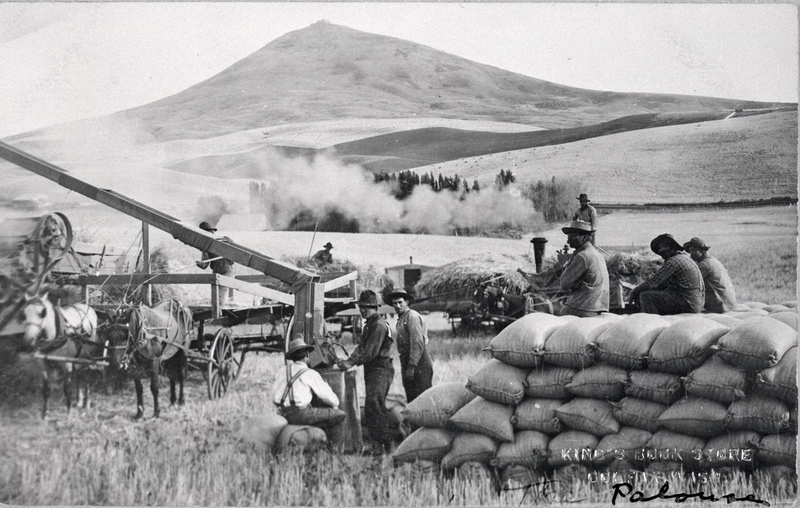 Wheat Farming on the Palouse
