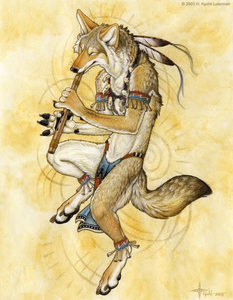 Coyote’s Song