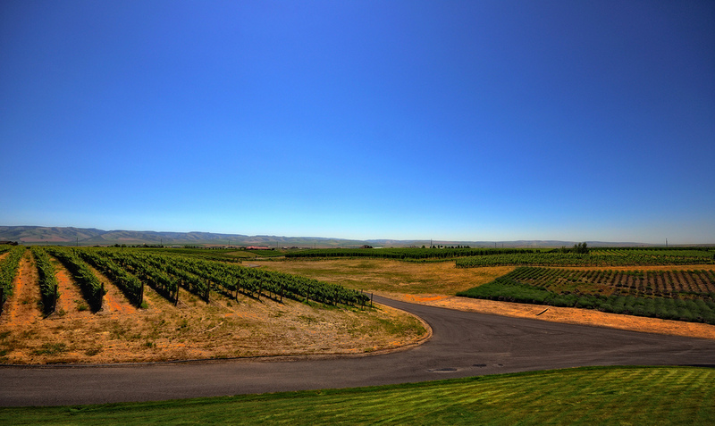 Walla Walla Vineyards
