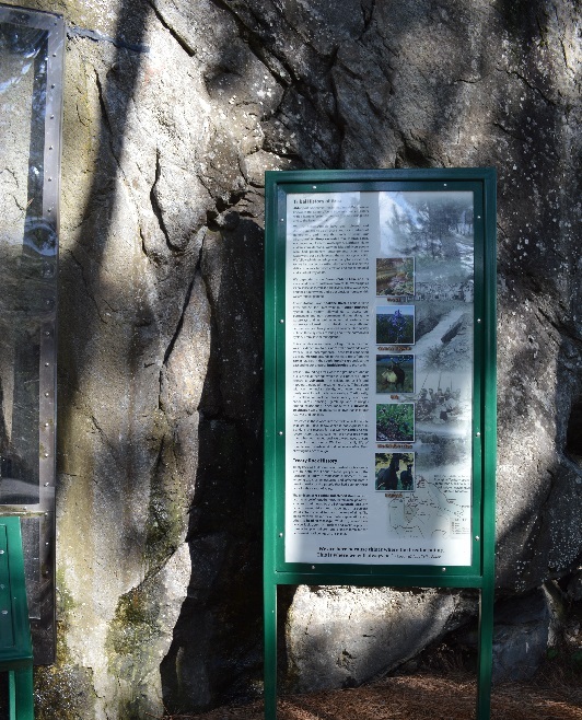 Tribal History of the Area