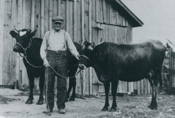 Broadview Dairy