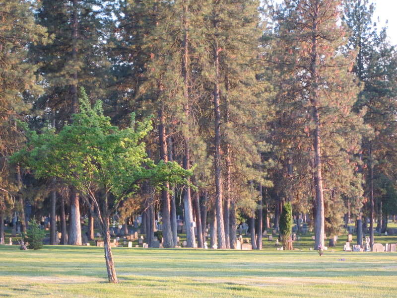 Park-Like Setting