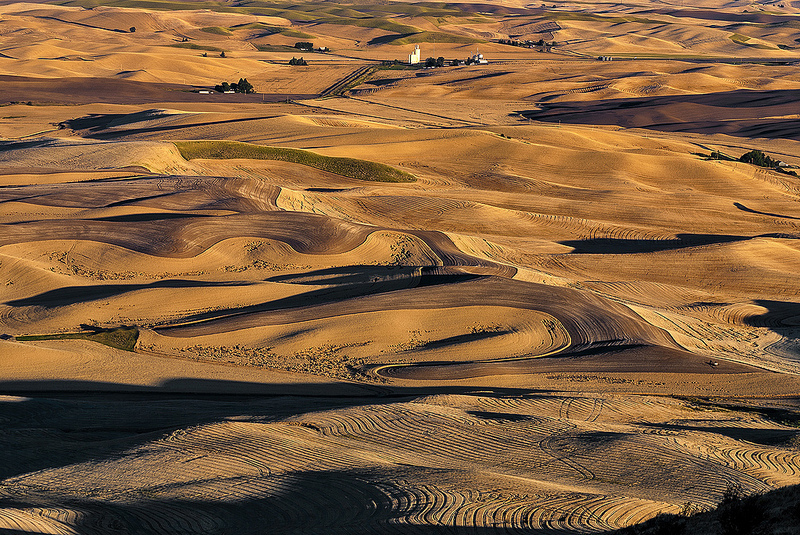 The Palouse Today
