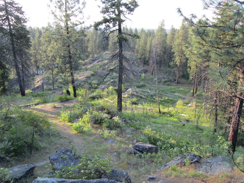 Undeveloped area near Underhill Park