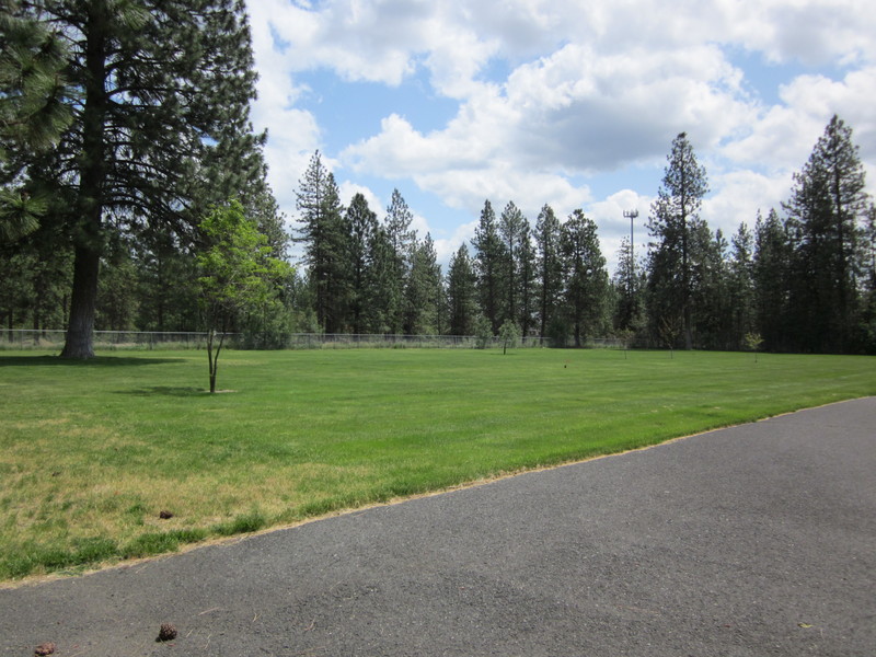 Potter's Field