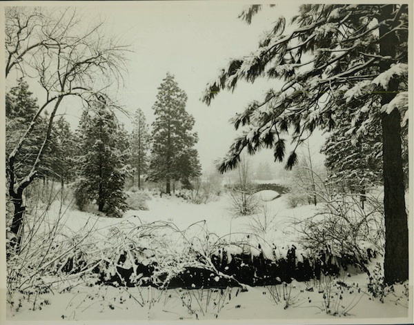 Cannon Hill in Winter